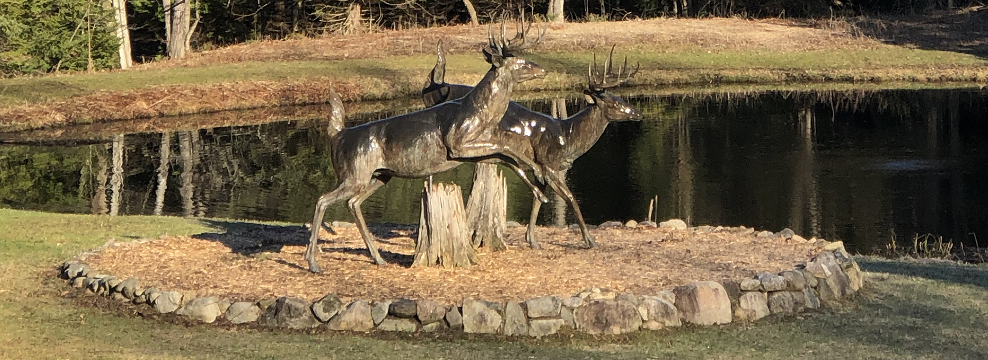 Bronze Deer Statue by The Lodge Pond - Drettmann Ranch